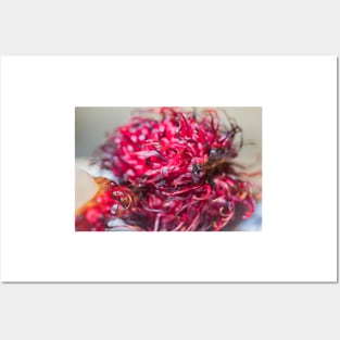 Rambutan 2 + 2 Posters and Art